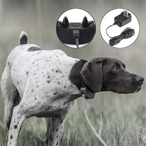 Tonton Replacement USB Charger Cable Compatible with SportDOG Shock Collar SD-425, SD-425S, SD-425CAMO, and SD-825 Remote Trainer Charging Power Cord Adapter 2 in 1 USB Y Splitter Cable Black in Saudi Arabia