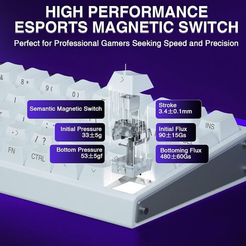 AULA Hero 68 HE 60% Gaming Keyboard Wired, Hall Effect Magnetic Switch Keyboard with Adjustable Actuation, Fast Trigger Mode, 8K Hz Polling Rate, 0.125ms Latency,Side Printed PBT Keycaps, RGB Backlit in Kuwait