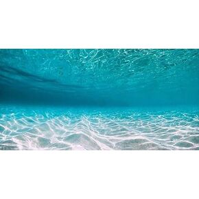 24X16IN Natural Undersea Aquarium Background, Undersea Beach Fish Tank Background, with 8 EVA Double-Sided Tape