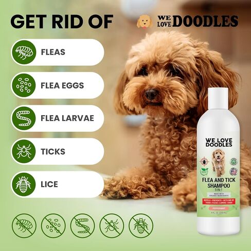 We Love Doodles Organic Flea Shampoo for Dogs - Stops Fleas & Ticks for Dogs, Natural, Safe & Effective Lice Treatment, Soothing Shampoo for Sensitive Skin, Made in USA, 16 oz in Saudi Arabia
