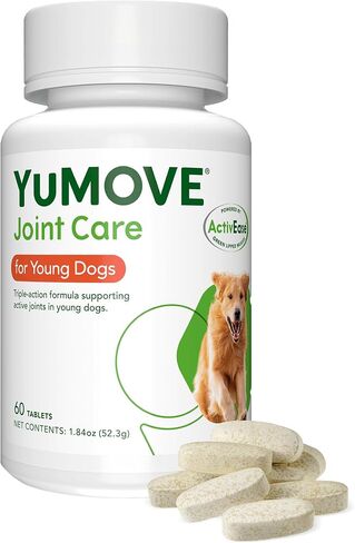 Hip and Joint Supplement for Dogs with Glucosamine, Green Lipped Mussel, Chondroitin, MSM, Omega 3 & Hyaluronic Acid - Joint Support Supplement - for Adult Dogs 300 Tablets in Saudi Arabia