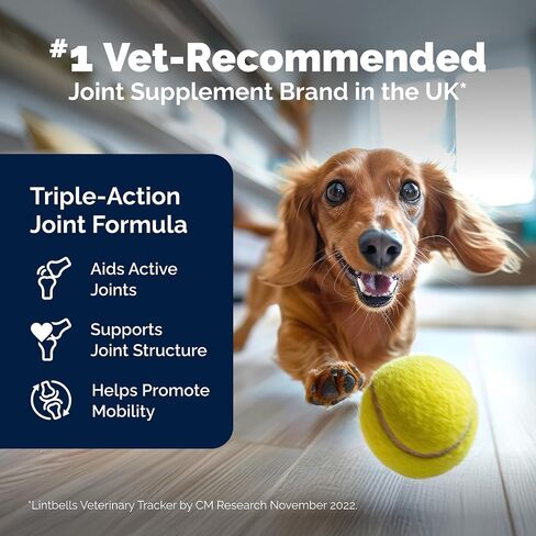Hip and Joint Supplement for Dogs with Glucosamine, Green Lipped Mussel, Chondroitin, MSM, Omega 3 & Hyaluronic Acid - Joint Support Supplement - for Adult Dogs 300 Tablets in Saudi Arabia