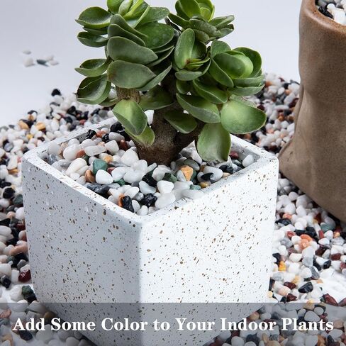 100% Natural Sand, Multi-Purpose Mini White Silica Sand for Fire Pits, Aquariums and Landscaping, 11LB in Saudi Arabia