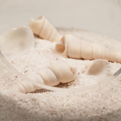 100% Natural Sand, Multi-Purpose Mini White Silica Sand for Fire Pits, Aquariums and Landscaping, 11LB in Saudi Arabia