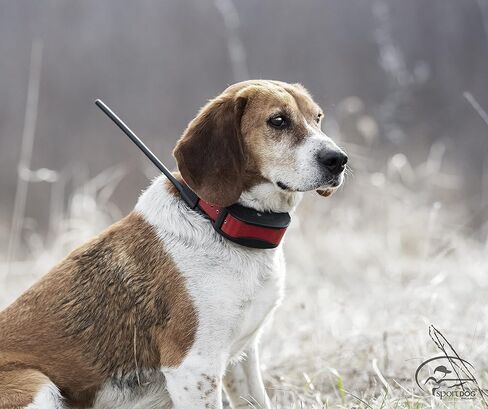 SportDOG PetSafe Brand TEK 2.0 GPS Collar Battery Replacement Kit in Saudi Arabia
