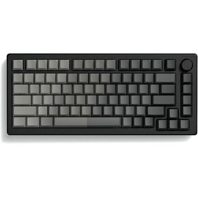 مجموعة Keycap Double Shot PBT ، تألق من خلال Keycaps 75 في المئة ، أغطية مفتاح مخصصة للكرز ، رمادي داكن ، أغطية لوحة مفاتيح مطبوعة جانبية للوحات مفاتيح الألعاب الميكانيكية (121Key ، فقط مفاتيح)