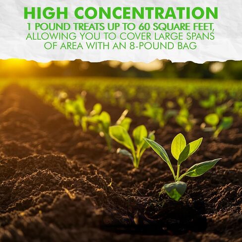Fishnure - Humus Fish Compost Fertilizer for Indoor Plants, Outdoor Houseplant Fertilizer, Plant Food for Houseplants, Gardener Gifts, 1 lb Convenience Pack for 3-Gallon Pot in Saudi Arabia