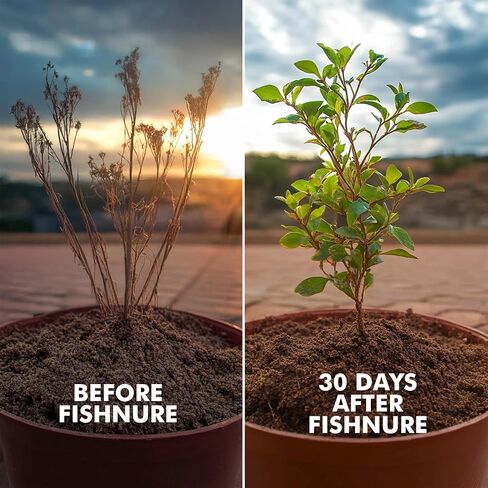 Fishnure - Humus Fish Compost Fertilizer for Indoor Plants, Outdoor Houseplant Fertilizer, Plant Food for Houseplants, Gardener Gifts, 1 lb Convenience Pack for 3-Gallon Pot in Saudi Arabia
