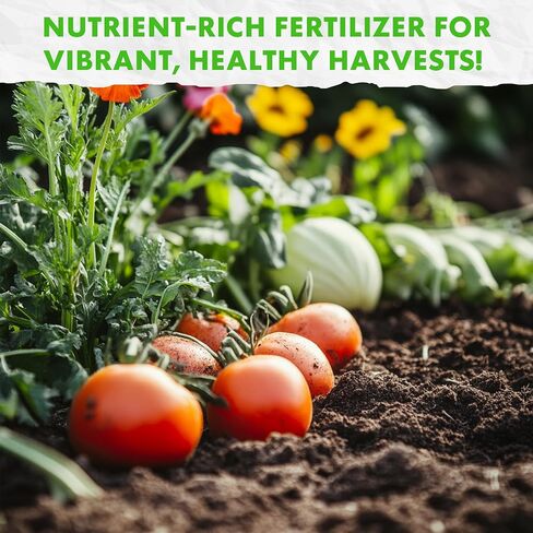 Fishnure - Humus Fish Compost Fertilizer for Indoor Plants, Outdoor Houseplant Fertilizer, Plant Food for Houseplants, Gardener Gifts, 1 lb Convenience Pack for 3-Gallon Pot in Saudi Arabia