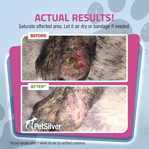 PetSilver Wound & Skin Spray for Cats - Chelated Silver, Superior to Colloidal Silver - Wound Care, Allergy & Itch Relief, Hot Spot Treatment for Cats - Natural Skin Soother - Made in USA - 2 fl oz in Saudi Arabia