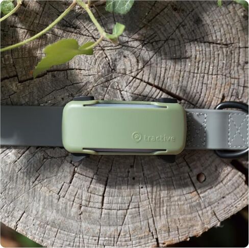 Tractive GPS Dog 6 Tracker Cover - Olive in Saudi Arabia
