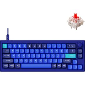 Keychron Q2 Wired Custom Mechanical Keyboard Knob Version, 65% Layout QMK/VIA Programmable Macro with Hot-swappable Gateron G Pro Brown Switch Double Gasket Compatible with Mac Windows Linux (Blue)
