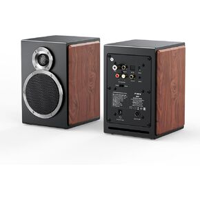FiiO SA1 High-Fidelity Desktop Speaker. 31-Band PEQ, LDAC Bluetooth,20W2+5W2 Output, Phono Preamp, Wood Fiber Woofer, Aluminum-Magnesium Tweeter (Black)