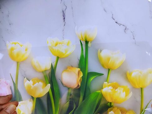 100 Sheets 8.5 x 11 Inch Clear Transparent Sheets 100% Transparency Film for Inkjet Printers Silk Screen Printing Overhead Projector Film in Saudi Arabia