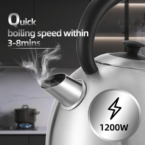 1.7L Electric Kettle, Cute Water Boiler with Thermometer & Auto Shut-Off, 1200W Fast Boiling Kettle for Home Kitchen Office, BPA-Free, Boil-Dry Protection (Stainless Steel Sanding) in Saudi Arabia