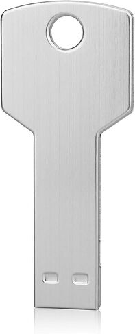 64G Key Shape USB Flash Drive, K&ZZ Metal Thumb Drive USB2.0 Flash Disk Memory USB Stick Expansion Disk, Silver 64GB in Saudi Arabia