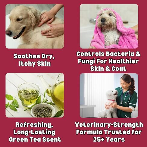 Soothe Itch Relief Pet Shampoo for Dogs & Cats 16 oz. | Antiseptic | Cools Red, Inflamed Skin | Made in USA in Saudi Arabia