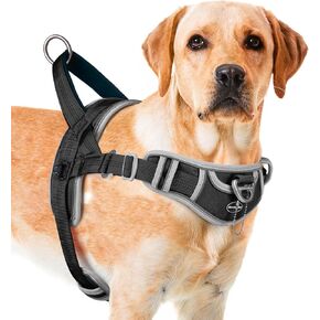 ADVENTUREMORE Dog Harness Medium Sized Dog No Pull, Dog Halter Harness Adjustable Reflective Dog Vest Escape Proof Dog Harness with Easy Control Front Clip Handle for Training Walking M Purple in Saudi Arabia