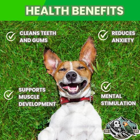 100-Pack of Roasted Pig Ears for Dogs-Bulk All Natural, Brazilian Single-Ingredient Chews! Safe & Digestible-Full-Size Ears! Cleans Teeth & Gums. Aggressive Chewers. Treats for Dogs in Saudi Arabia