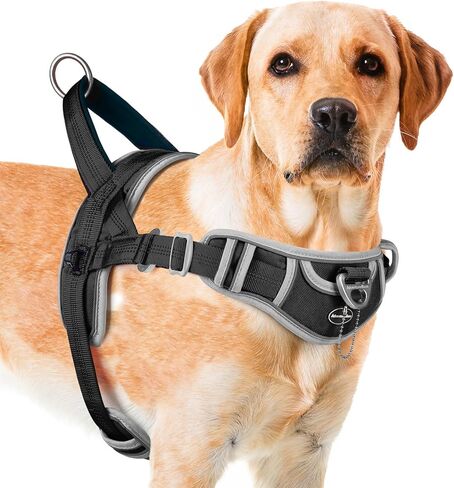 ADVENTUREMORE Dog Harness Medium Sized Dog No Pull, Dog Halter Harness Adjustable Reflective Dog Vest Escape Proof Dog Harness with Easy Control Front Clip Handle for Training Walking M Purple in Saudi Arabia