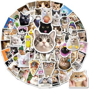 200 PCS Cat Stickers Pack Cat Meme Stickers for Teens Adults Cute Funny Cat Stickers for Laptop Water Bottle Guitar Phone Case Journaling Scrapbooking Vinyl Decals