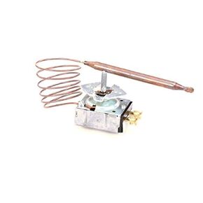 13-100079 Thermostat