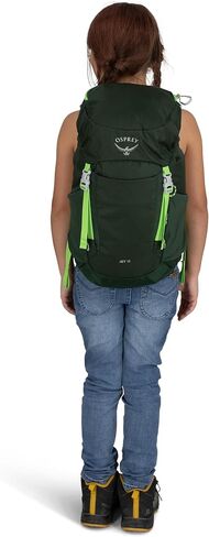 Osprey Jet 28L Backpack's Kid Backpack ، Green Canopy in Saudi Arabia