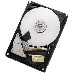 Hitachi-HGST Ultrastar 7K3000 HUA723030ALA641 3.5in 3TB SATA 6.0Gb/s 7200RPM 64MB Cache Hard Drive (Renewed)