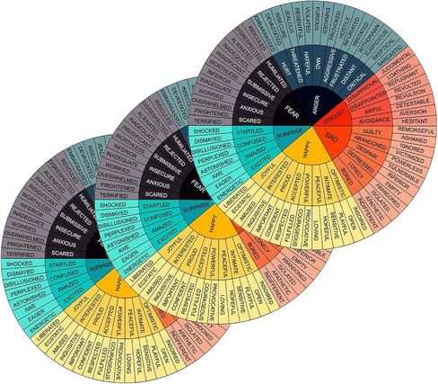 3 Pcs 3.15'' x 3.15'' Feelings Wheel Sticker, Vinyl Emotion Pie Chart Decals Office Decor Mental Color School Chart for Laptop Car Social Worker Counselor Office Skateboard Decor in Saudi Arabia