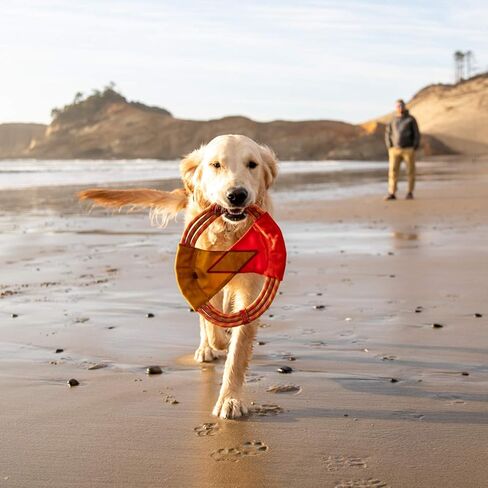 Ruffwear, Pacific Ring Dog Toy, Interactive Fetch and Tug Toy for Playing and Training, Aurora Teal in Kuwait