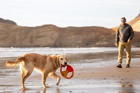 Ruffwear, Pacific Ring Dog Toy, Interactive Fetch and Tug Toy for Playing and Training, Aurora Teal in Kuwait