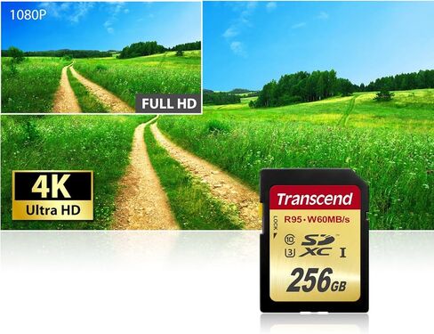 Transcend 64 GB High Speed 10 UHS-3 Flash Memory Card 95/60 MB/s (TS64GSDU3),Gold in Kuwait