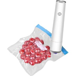 Handheld Vacuum Sealer, Portable Vacuum Sealer with 5PCS Reusable Vacuum Seal Bags for Food Fresh and Preservation, Rechargeable Small Electric Pump Set (1 Pump + 5 Bags)