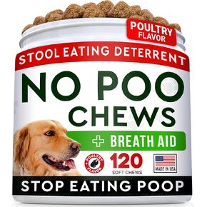 Strellalab Pumpkin for Dogs - ملحق مسحوق الألياف - تناسق البراز و Sibtener - دعم الهضم - مصنوع في الولايات المتحدة الأمريكية - 6.0 أوقية - فواكه اليقطين