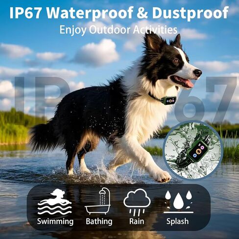 Dog Training Collar with Remote 3300Ft with 5 Training Modes, Shock Collar for Dogs IP67 Waterproof Rechargeable E Collar(Red Orange) in Saudi Arabia