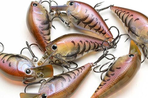 LUCKY CRAFT LC 1.0, Freshwater Bass Fishing Lure, Crank Bait, Smallmouth, Walleye, Pike, Floating, Tournament Winning, Perfect Wobbling, Squarebill, Fishing Gear, Fishing Accessories, Fishing Tackle in Kuwait