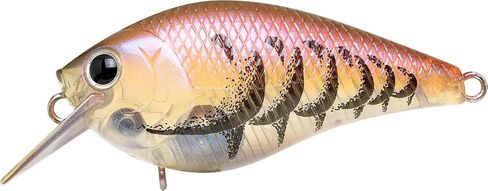 LUCKY CRAFT LC 1.0, Freshwater Bass Fishing Lure, Crank Bait, Smallmouth, Walleye, Pike, Floating, Tournament Winning, Perfect Wobbling, Squarebill, Fishing Gear, Fishing Accessories, Fishing Tackle in Kuwait