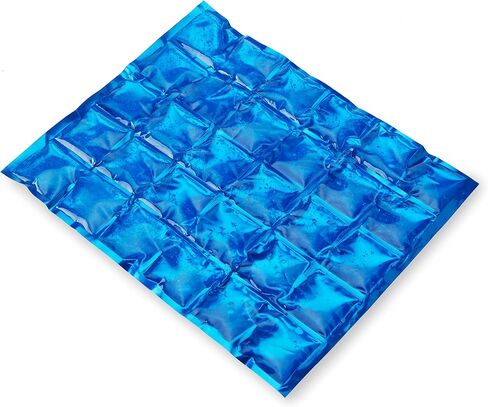 True Reusable Long Lasting Ice Packs for Lunch Boxes, Food, Freezer, Drinks, Cooler, Camping, Picnic, Beach, Travel, Outdoor Party, Set of 1, Blue in Kuwait