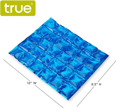 True Reusable Long Lasting Ice Packs for Lunch Boxes, Food, Freezer, Drinks, Cooler, Camping, Picnic, Beach, Travel, Outdoor Party, Set of 1, Blue in Kuwait