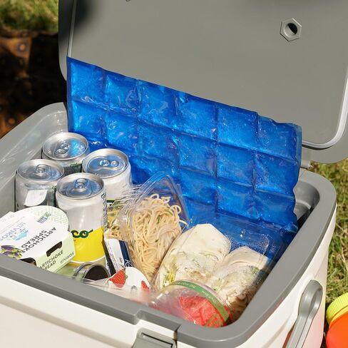 True Reusable Long Lasting Ice Packs for Lunch Boxes, Food, Freezer, Drinks, Cooler, Camping, Picnic, Beach, Travel, Outdoor Party, Set of 1, Blue in Kuwait