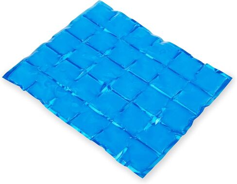True Reusable Long Lasting Ice Packs for Lunch Boxes, Food, Freezer, Drinks, Cooler, Camping, Picnic, Beach, Travel, Outdoor Party, Set of 1, Blue in Kuwait