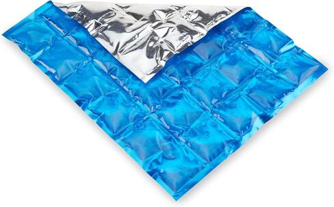 True Reusable Long Lasting Ice Packs for Lunch Boxes, Food, Freezer, Drinks, Cooler, Camping, Picnic, Beach, Travel, Outdoor Party, Set of 1, Blue in Kuwait