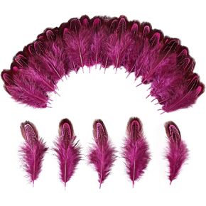 THARAHT Pheasant Plumage Feathers 120pcs Natural 2-3 Inches for Thanksgiving Crafts Hats Sewing Clothing Wedding Dream Catcher Decoration Feathers,Multicolored in Kuwait
