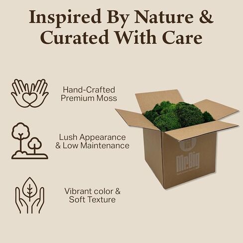 Preserved Mood Moss - Decorative Moss - Dried Moss for Crafts, Home Decor, Art, Design & DIY Projects - For Indoor Use - Natural Green - Medium Size in Kuwait