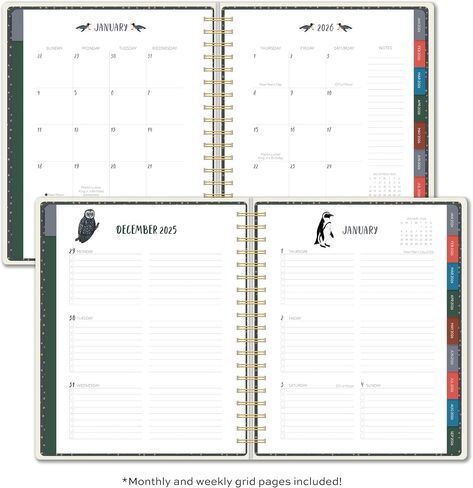 High Note 2026 Planner, 17-Month Weekly & Monthly Hardcover Planner: August 2025 to December 2026, 9" x 10" - Fresh & Colorful in Saudi Arabia
