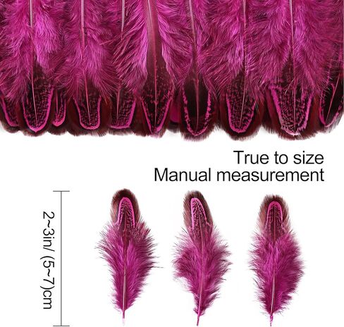 THARAHT Pheasant Plumage Feathers 120pcs Natural 2-3 Inches for Thanksgiving Crafts Hats Sewing Clothing Wedding Dream Catcher Decoration Feathers,Multicolored in Kuwait