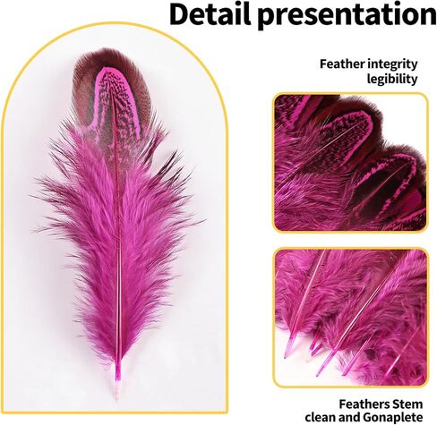 THARAHT Pheasant Plumage Feathers 120pcs Natural 2-3 Inches for Thanksgiving Crafts Hats Sewing Clothing Wedding Dream Catcher Decoration Feathers,Multicolored in Kuwait