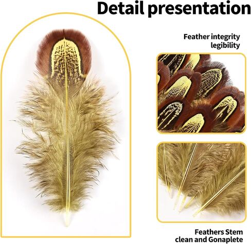 THARAHT Pheasant Plumage Feathers 120pcs Natural 2-3 Inches for Thanksgiving Crafts Hats Sewing Clothing Wedding Dream Catcher Decoration Feathers,Multicolored in Kuwait