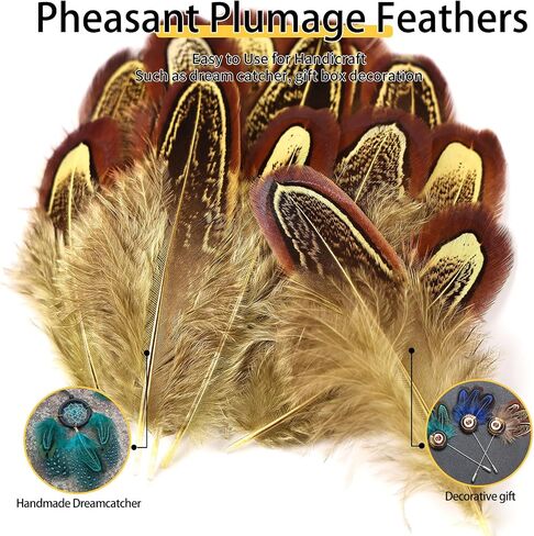 THARAHT Pheasant Plumage Feathers 120pcs Natural 2-3 Inches for Thanksgiving Crafts Hats Sewing Clothing Wedding Dream Catcher Decoration Feathers,Multicolored in Kuwait