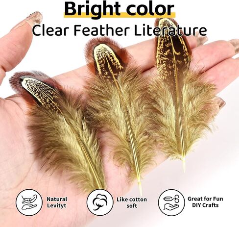 THARAHT Pheasant Plumage Feathers 120pcs Natural 2-3 Inches for Thanksgiving Crafts Hats Sewing Clothing Wedding Dream Catcher Decoration Feathers,Multicolored in Kuwait